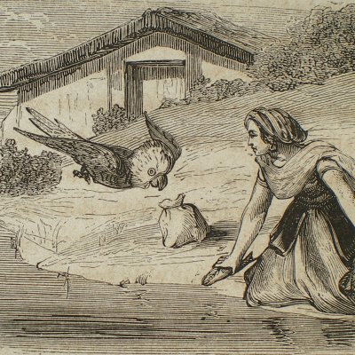 Fleur d’épine. Phœnix vole un sac de sel (Contes des fées, Garnier, 1872)