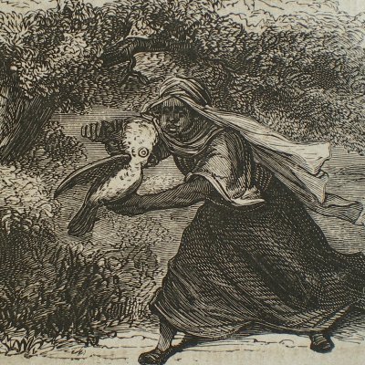 Fleur d’épine. La More & le perroquet (Contes des fées, Garnier, 1872)