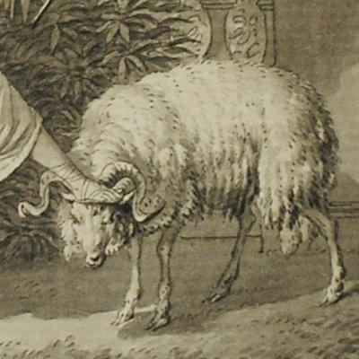 Le Bélier (Dessins pour le Cabinet des Fées) - Marillier
