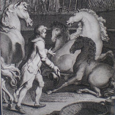 Logis d’un Houynhnhm (Voyages de Gulliver, T2P2, 1797)