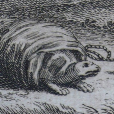 Le corbeau, le rat, le pigeon… (Contes & fables ind. Bidpaï & Lokman, 1724)