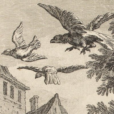 Vultures and Pigeons (La Fontaine, Desaint et Saillant, 1755) - Oudry