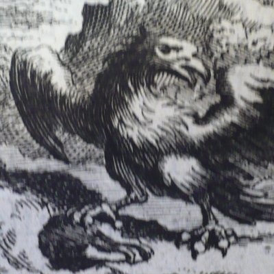 L’aigle et l’escarbot (Fables de La Fontaine, Barbin, 1668) - Chauveau