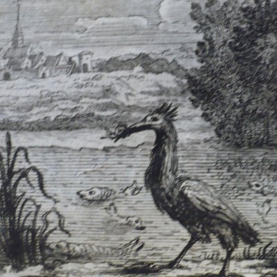 Le héron (Fables de La Fontaine, 1678, 3eP) - atelier de Chauveau