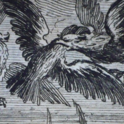 Les vautours et les pigeons (Fables de La Fontaine, 1678, 3eP) - at. de Chauveau