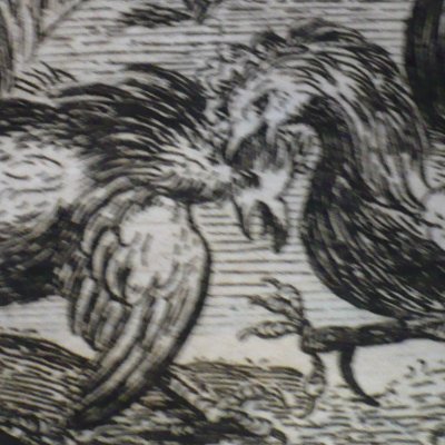 Les deux coqs (Fables de La Fontaine, 1678, 3eP) - Chauveau workshop