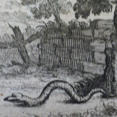 The head and tail of the serpent (Fables de La Fontaine, 1678, 3eP) - at. Chauveau