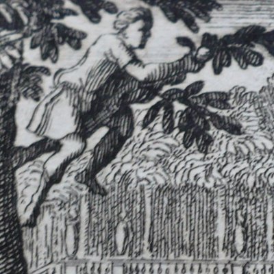 L’écolier, le pédant et le maître d’un jardin (Fables de La Fontaine, 1679, 4eP)