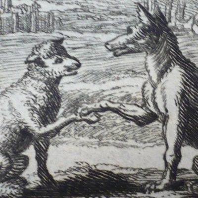 Les loups et les brebis (Fables de La Fontaine, Barbin, 1668) - Chauveau