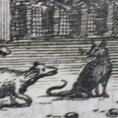 La belette entrée dans un grenier (F. de La Fontaine, Barbin, 1668) - Chauveau