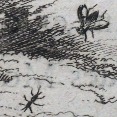 La mouche et la fourmi (Fables de La Fontaine, Barbin, 1668) - Chauveau