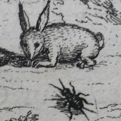 Les oreilles du lièvre (Fables de La Fontaine, Barbin, 1668) - Chauveau