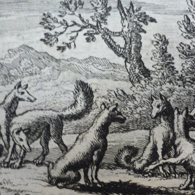 Le renard ayant la queue coupée (Fables de La Fontaine, Barbin, 1668) - Chauveau