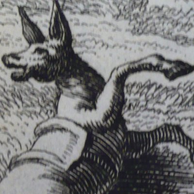 Le vieillard et l’âne (Fables de La Fontaine, Barbin, 1668) - Chauveau