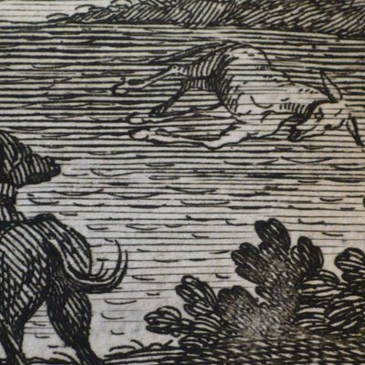 The two dogs and the dead donkey (Fables de La Fontaine, 1678, 3eP) - Chauveau