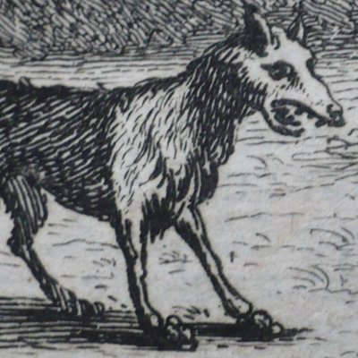 Le loup et le chien maigre (Fables de La Fontaine, 1679, 4eP)