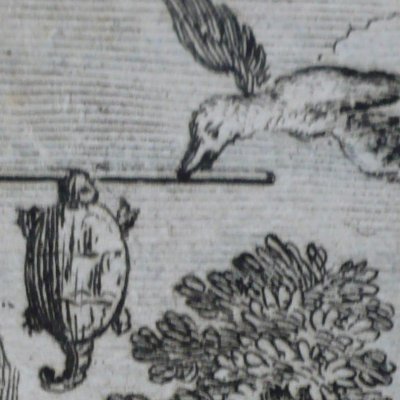The tortoise and the two ducks (Fables de La Fontaine, 1679, 4eP)