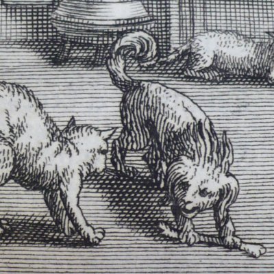 La querelle des chiens & des chats… (La Fontaine, 1694) - atelier de Chauveau