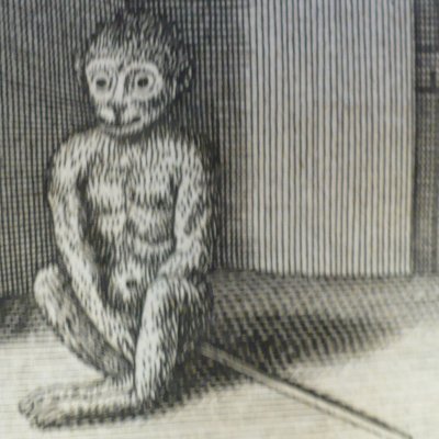 Le singe (Fables de La Fontaine, 1694) - atelier de Chauveau