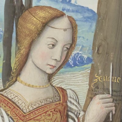 Œnone gravant son nom (Epîtres d’Ovide, trad. Saint-Gelais, Fr 874, F142v)