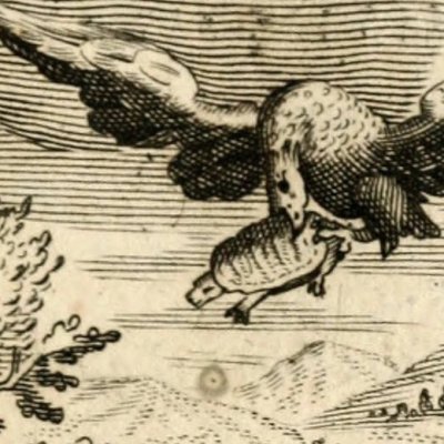 La mort d’Eschyle (Emblemata horatiana) - Otho Vaenius
