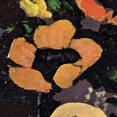 Anémones - Braque