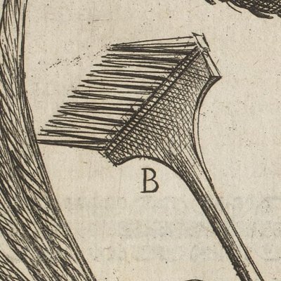 Griffes, étrilles, crampons (Tratt. de gli instr. di martirio, 1591) - G. Guerra