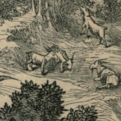 Robinson découvre des chèvres sur l’île (Robinson Crusoé, Londres, 1863)