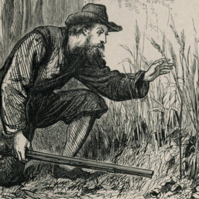Robinson découvre l’orge (Robinson Crusoé, Londres, 1863)