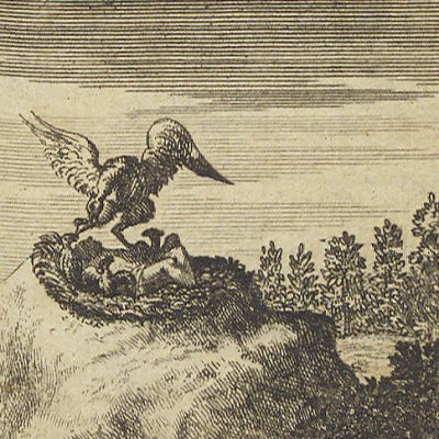 La Princesse Carpillon (Cabinet des fées T5, 1717)