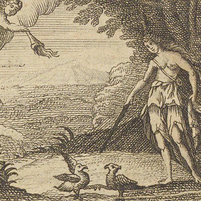 Le Pigeon et la Colombe (Cabinet des fées T6, 1717)