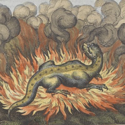 Comme la Salamandre, la pierre vit du feu (Michel Maier, Atalanta Fugiens, 1618)