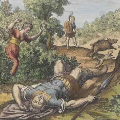Vénus au secours d’Adonis rougit la rose (Michel Maier, Atalanta Fugiens, 1618)