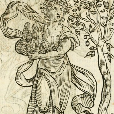 Bontà (Ripa, 1625) - Chevalier d’Arpin