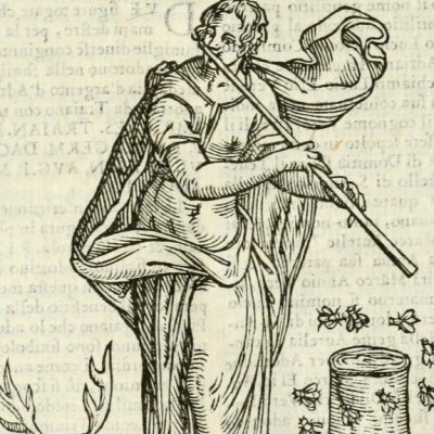 Adulatione (Ripa, 1625) - Chevalier d’Arpin
