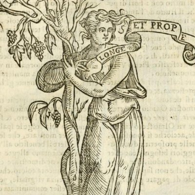 Amicitia (Ripa, 1625) - Chevalier d’Arpin