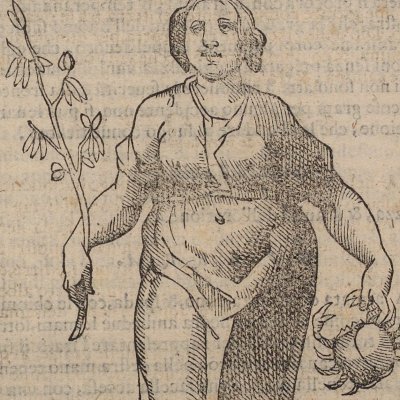 Grassezza (Ripa, 1603) - Chevalier d’Arpin
