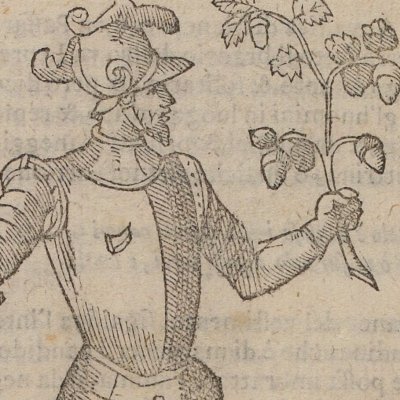 Soccorso (Ripa, 1603) - Chevalier d’Arpin