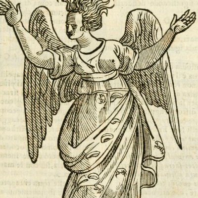 Curiosità (Ripa, 1625) - Chevalier d’Arpin