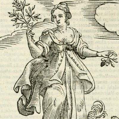 Diligenza (Ripa, 1625) - Chevalier d’Arpin