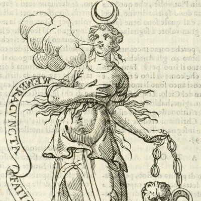 Febre (Ripa, 1625) - Chevalier d'Arpin