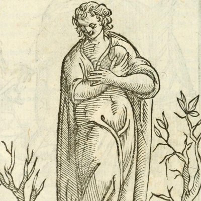 Humiltà (Ripa, 1625) - Chevalier d’Arpin