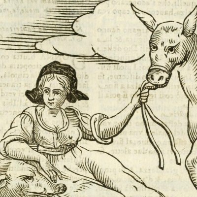 Indocilità (Ripa, 1625) - Chevalier d’Arpin