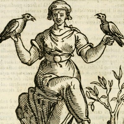 Irresulotione (Ripa, 1625) - Chevalier d’Arpin