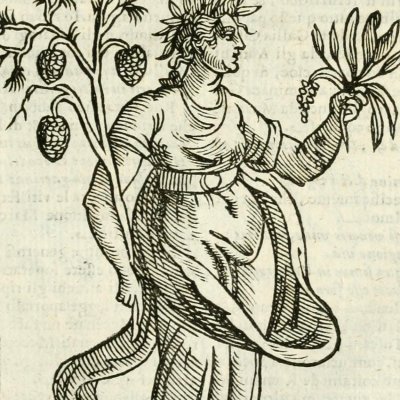 Romagna (Ripa, 1625) - Chevalier d’Arpin