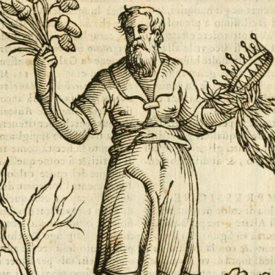 Premio (Ripa, 1625) - Chevalier d’Arpin