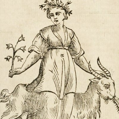 Stupidità overo stolidità (Ripa, 1625) - Chevalier d’Arpin