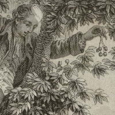 L’idylle des cerises (Coll. compl. Londres, t12, 1783, Confessions) - Barbier