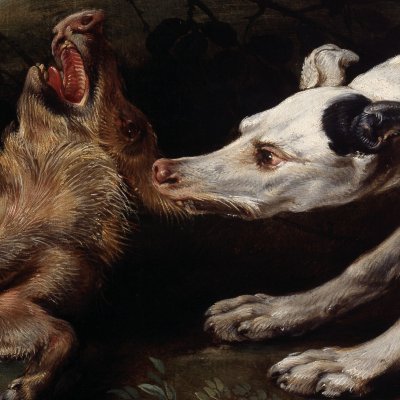 Un lévrier attrape un jeune sanglier - Frans Snyders