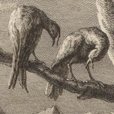 Le renard et les poulets d'Inde (La Fontaine, Desaint et Saillant, 1755) - Oudry